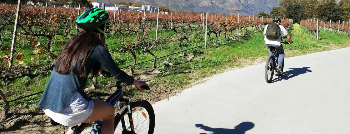 Franschhoek Winelands 7 hour Private E-Bike Tour with Lunch