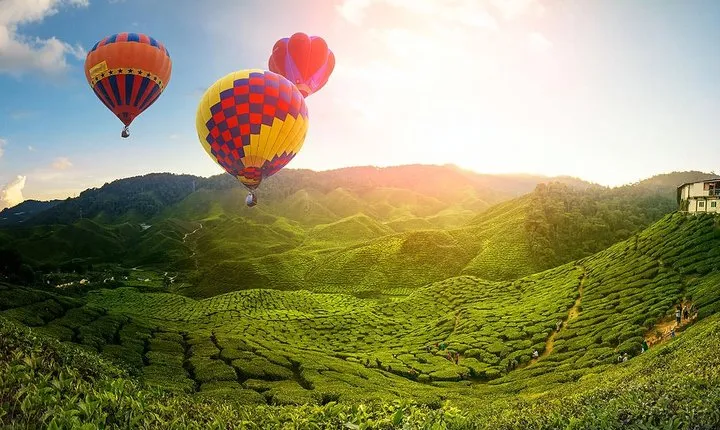 2D1N Cameron Highlands, Batu Caves, Ipoh, Kuala SelangorFireflies