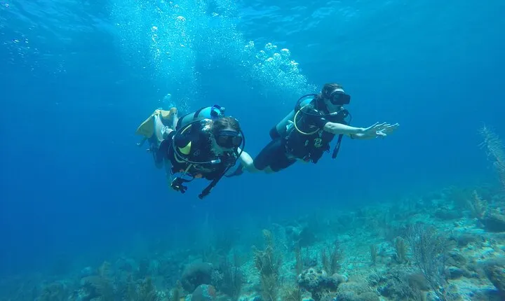 Half-Day Dive Tour in San Andres Island (CERTIFIED DIVERS ONLY)