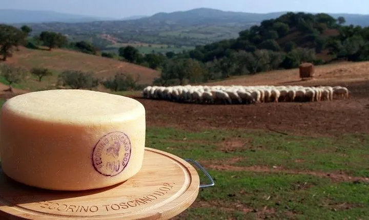 Pecorino Cheese Factory & Chianti Wine Tour in Tuscany - The perfect combination