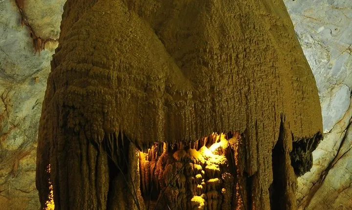 Daily Tour to Paradise and Dark Cave