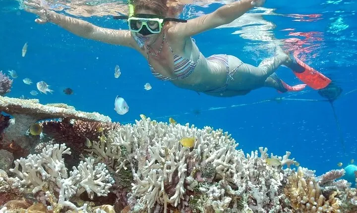 Full-Day Tour in Nusa Penida Island + Snorkeling Experience