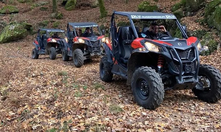 Ponte de Lima Guided Buggy Tour
