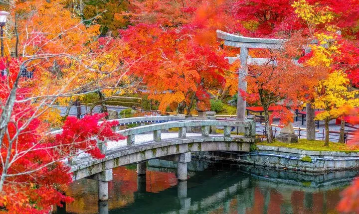 Kyoto Autumn Leaves: Eikando, Nanzenji, Zen Temples & Secrets