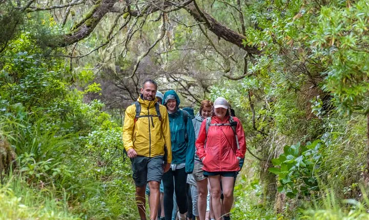 Skywalk 4x4 Experience and Rabacal 25 Fountains Levada Walk 