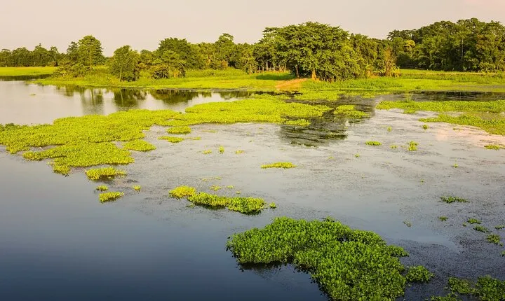 Day Trip to Majuli (Guided Private Tour from Guwahati)