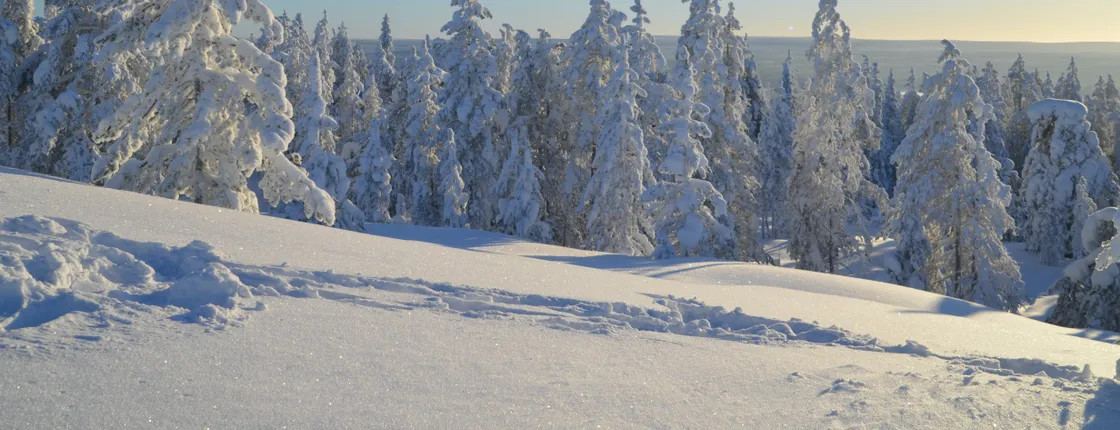 Wilderness survival winter tour
