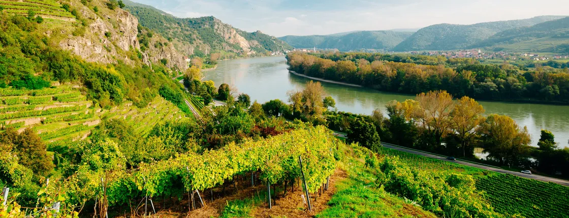 Wachau Valley day trip with river cruise on the Danube