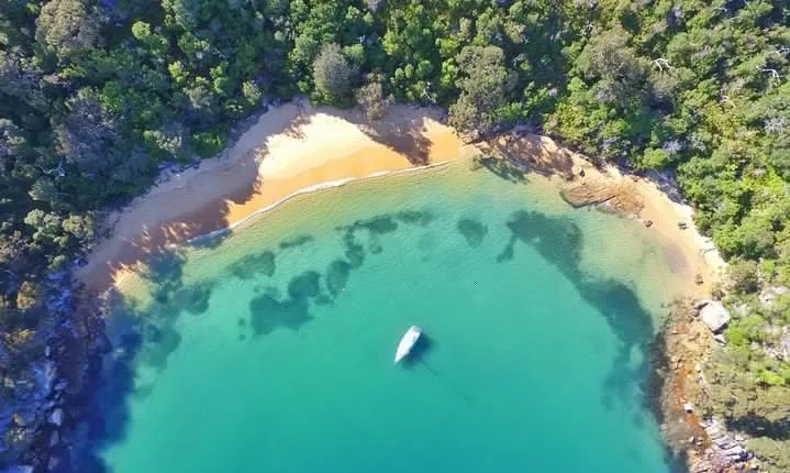 Sydney Secrets Lunch Cruise