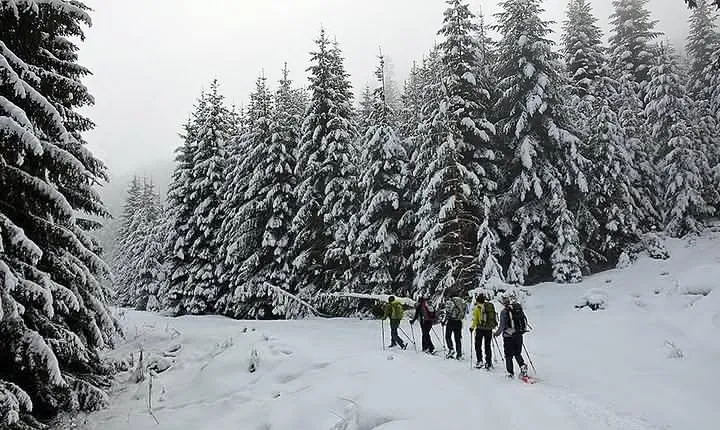 Full-day Vitosha Mountain Snowshoe Hiking Tour from Sofia