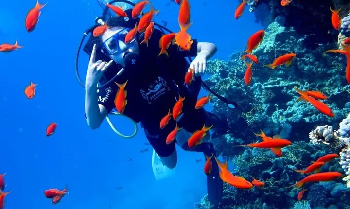 Orange Island Snorkeling Sea Trip with Diving from Hurghada 