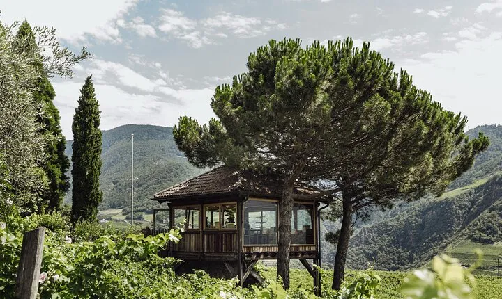 Guided winery tour with tasting in Bolzano at the SKYWINE PAVILLON