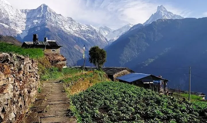 Multi-Day Ghandruk Trek in Pokhara