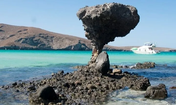 Tour to Playa La Paz from Cabo San Lucas