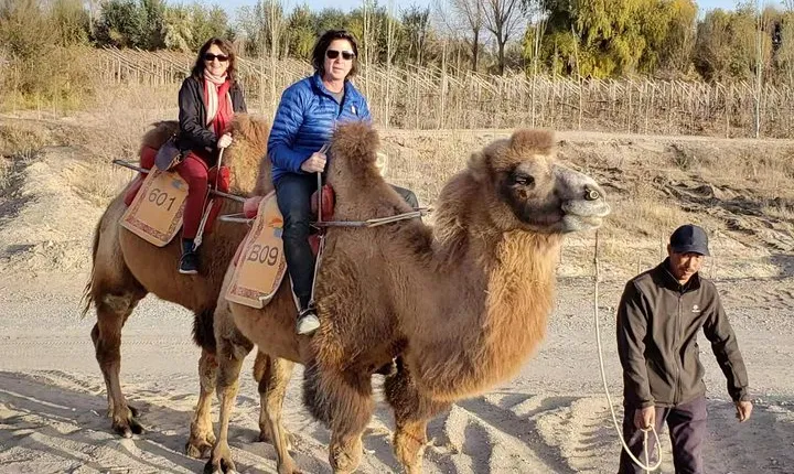 Dunhuang Private Camel Riding in the Gobi Desert