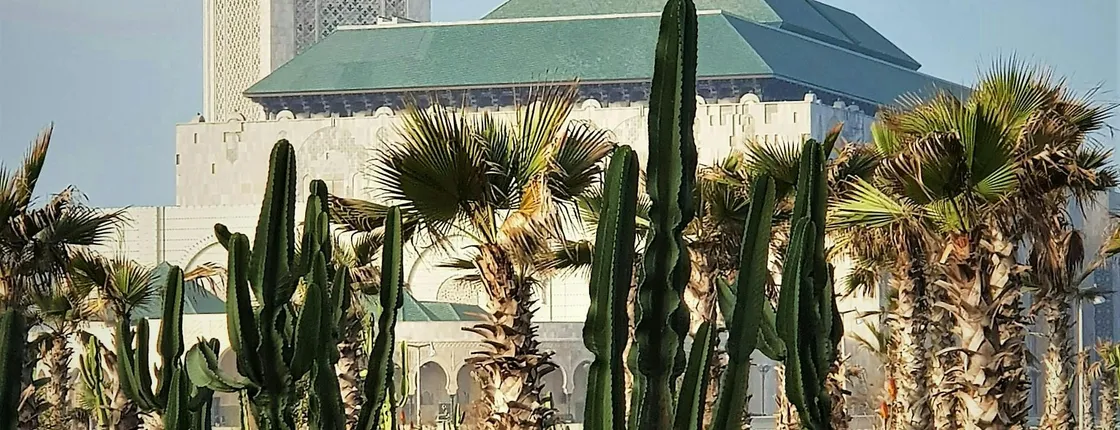 Casablanca Full-Day Trip from Marrakech