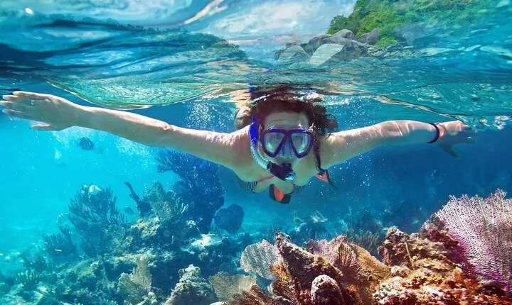 Snorkeling in Bar Reef Marine Sanctuary