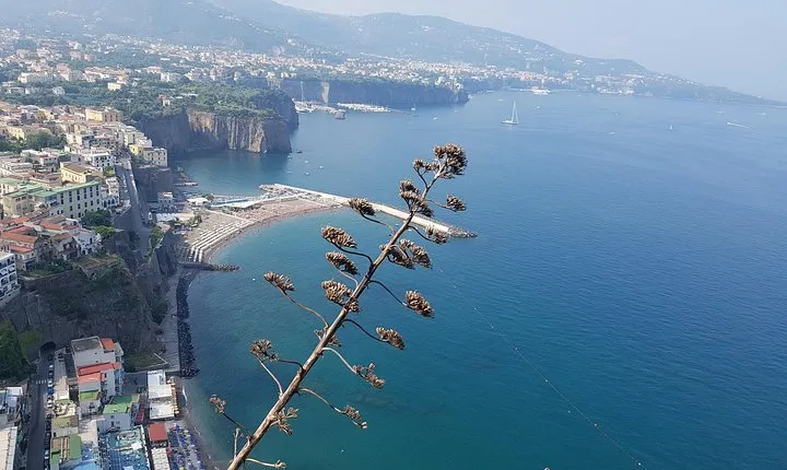 Tour on the Amalfi Coast: Ravello, Amalfi and Positano, a day from Rome