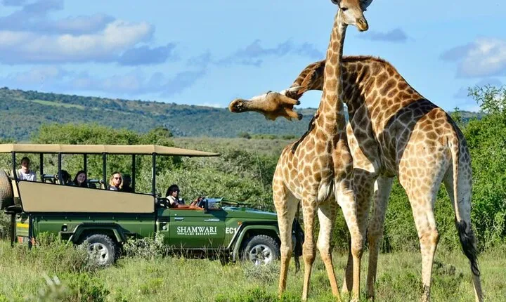 Full Day Durban City & Tala Game Reserve Tour