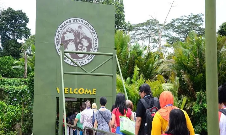 Orang Utan Island Day Tour