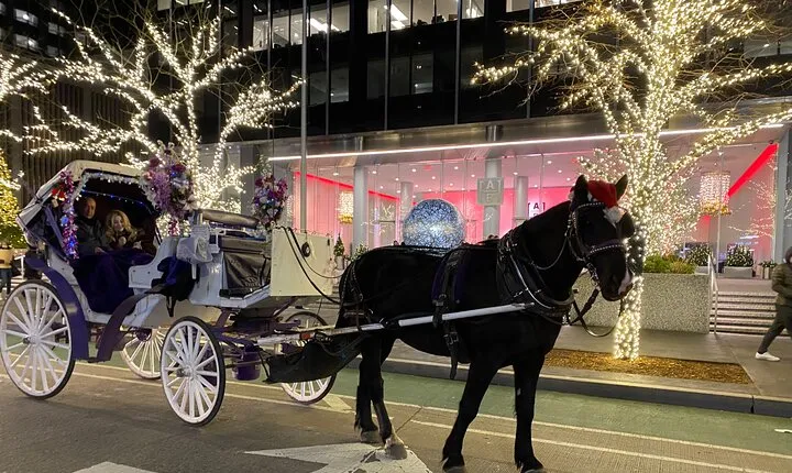 NYC Rockefeller Center Christmas Lights Horse Carriage Ride