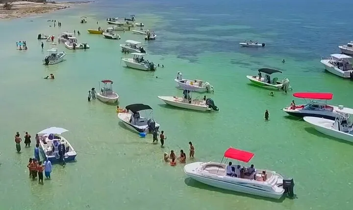 Half Day Charter Sandbar Snorkeling and Eco Adventure