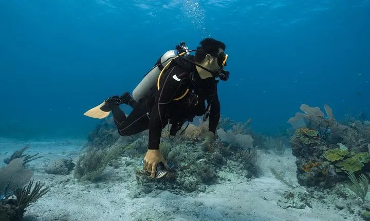 Ras Mohammed National Park With 1 intro Dive - Sharm El-Shaikh