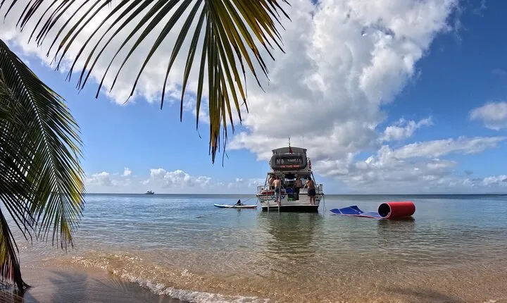 All-Inclusive Vieques: Swim with Turtles, Pristine Beaches Await!