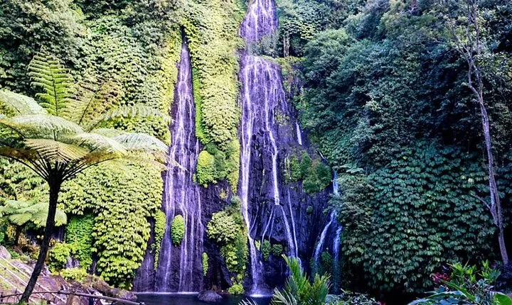 Trip to Paradise in Bali Banyumala Waterfall And Twin Lake