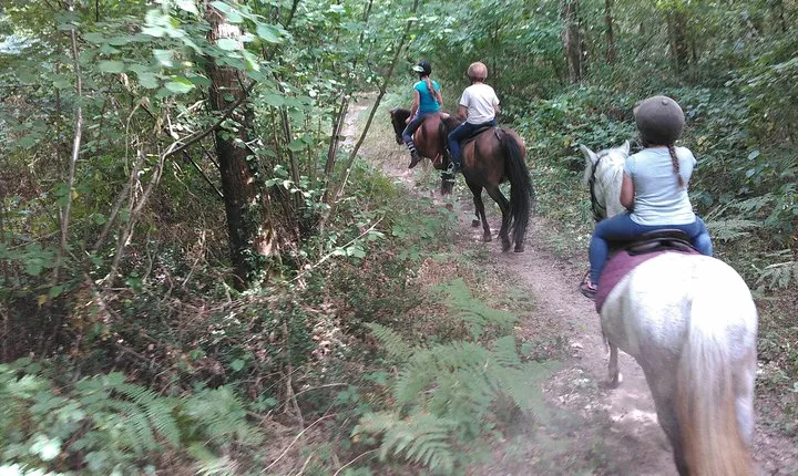 Special children's ride - relaxation and fun for children guaranteed