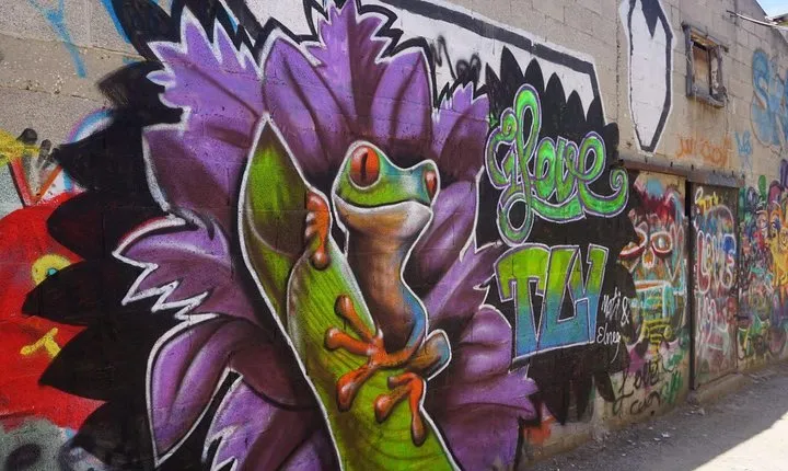 Tel Aviv Street Art & Graffiti Tour