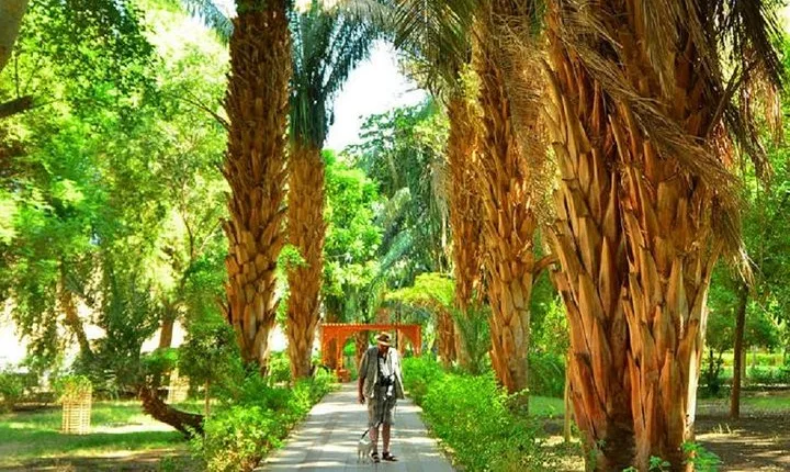 Tour to Nubian Village and Botanical Garden Visit