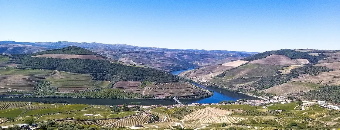 Full-day Douro Valley and wineries tour