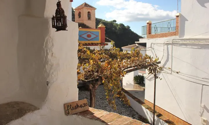 White Villages Tour in the Nerja area: Small-Group Tour and Lunch
