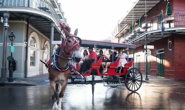 New Orleans French Quarter and More Carriage Ride