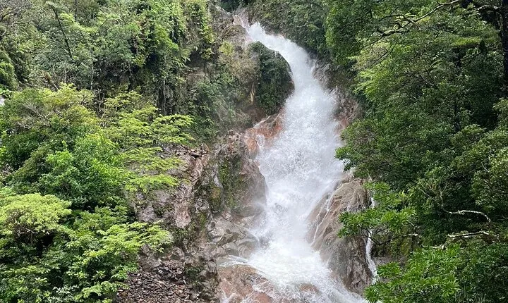 Rainforest Volcano Tour