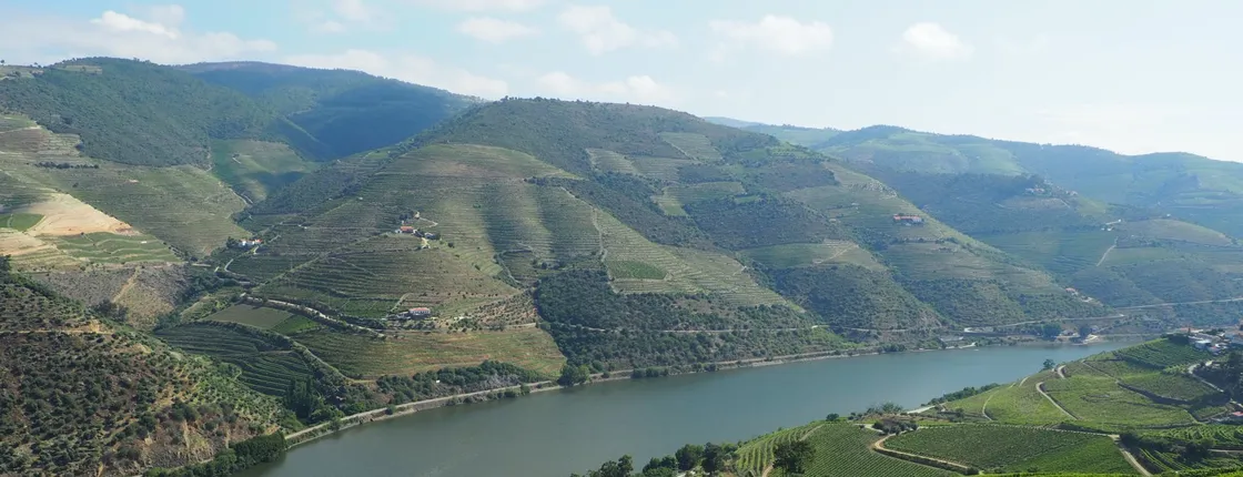 Douro Valley premium wine experience