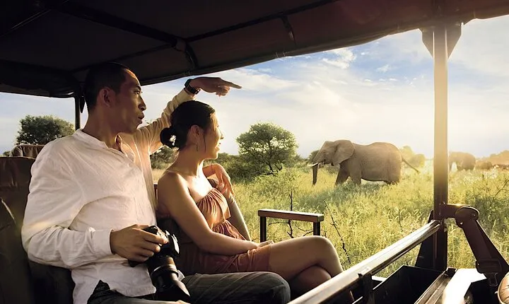 3 Day Kruger Tremisana Big 5 Safari from Johannesburg