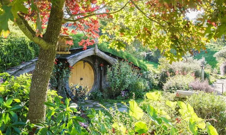 Private 2 Days Tour from Auckland - Waitomo, Hobbiton and Rotorua