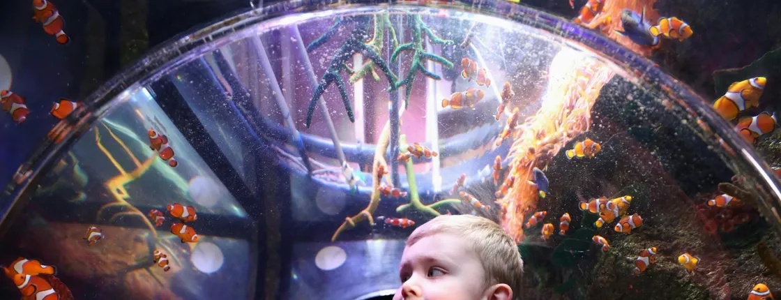 SEA LIFE Manchester entrance tickets