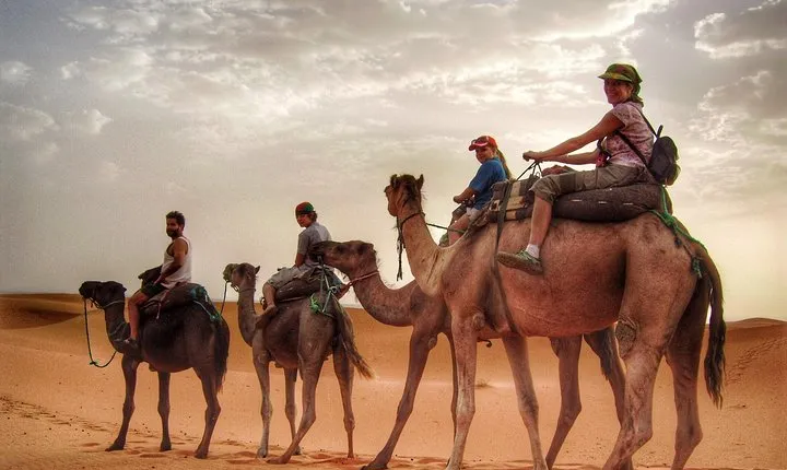 Morning Camel Trekking with Dune Bashing and Sand Boarding