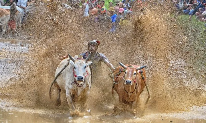 Explore West Sumatra with Private Transportation