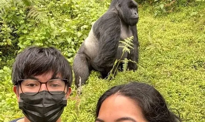 Rwanda One Day Gorilla Trekking with Iby’iwacu Culture Visit