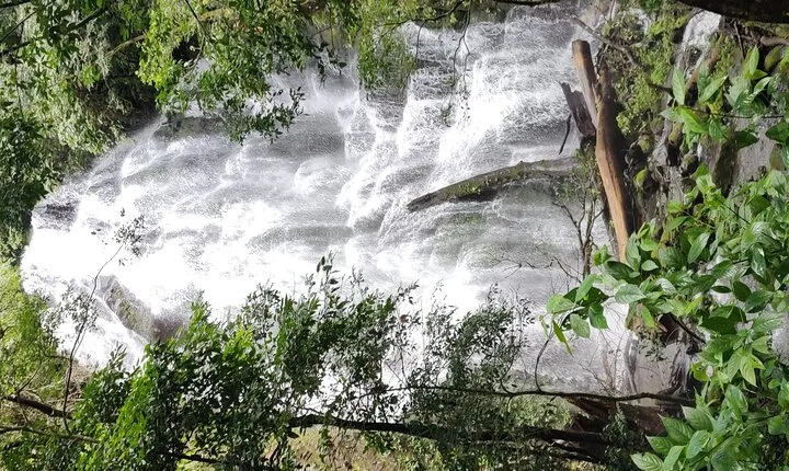 Rincon volcano hike +Waterfall swim + Hot springs+ lunch buffet