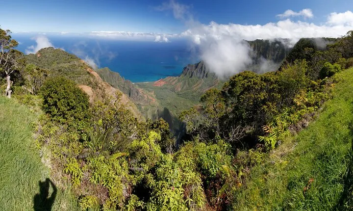 Kauai Shore Excursion - Waimea Canyon Adventure Tour - Nawiliwili