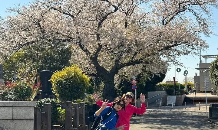 Historic Temple・traditional Japanese garden& Eating around at a shopping strip