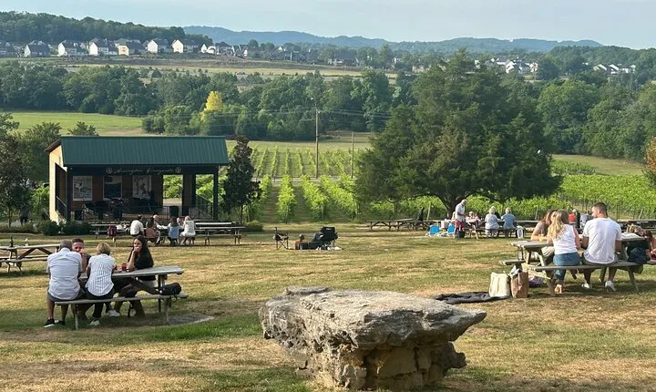 Private Wine Tour with Arrington Vineyards & Wines in the Fork