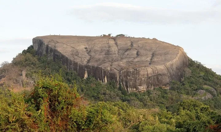 Pidurangala Rock All Inclusive Day Tour From Colombo