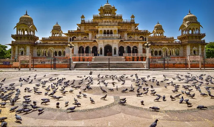 Pink City Tour With Uber