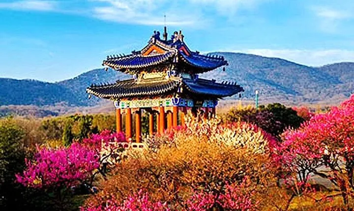 Nanjing Purple Mountain Private Hiking Tour with Lunch and Cableway